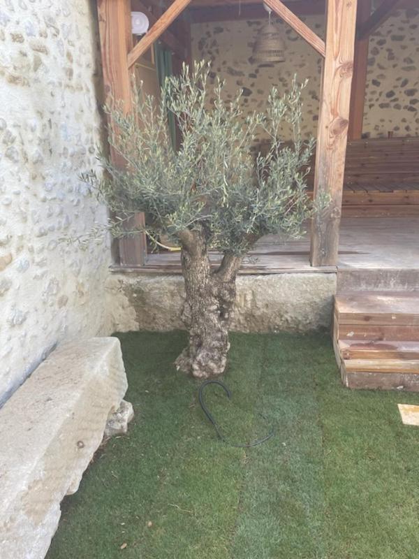Drome Provencale Maison Familiale Calme Dans Village Valréas エクステリア 写真
